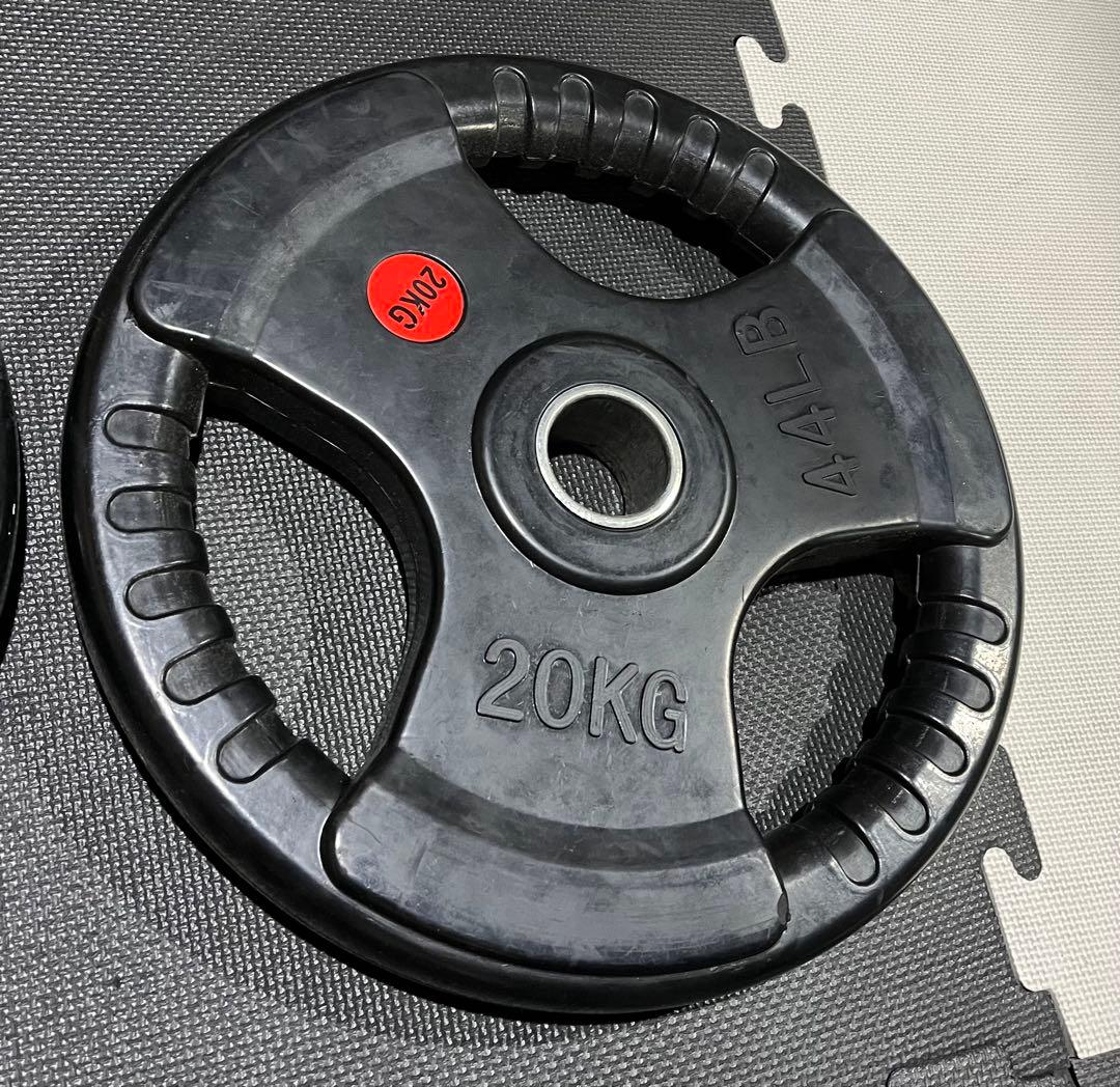 S プレート 44LB 20KG セット