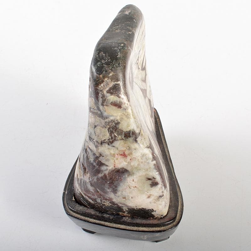 天然石　鑑賞石　菊花石　置物　重さ約1kg　唐木台付　古玩　V　R6655