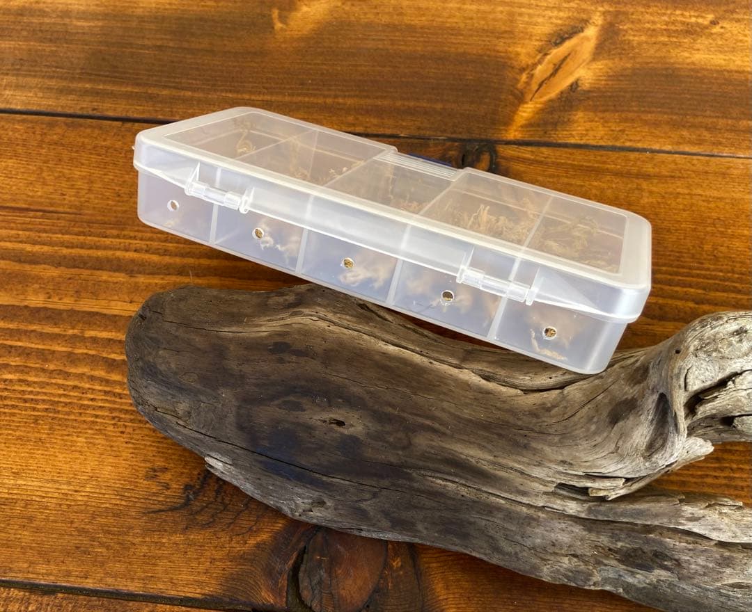 クワガタ採集セット　camo柄　オリジナル掻き出し棒　デジタルノギス　採集ケース