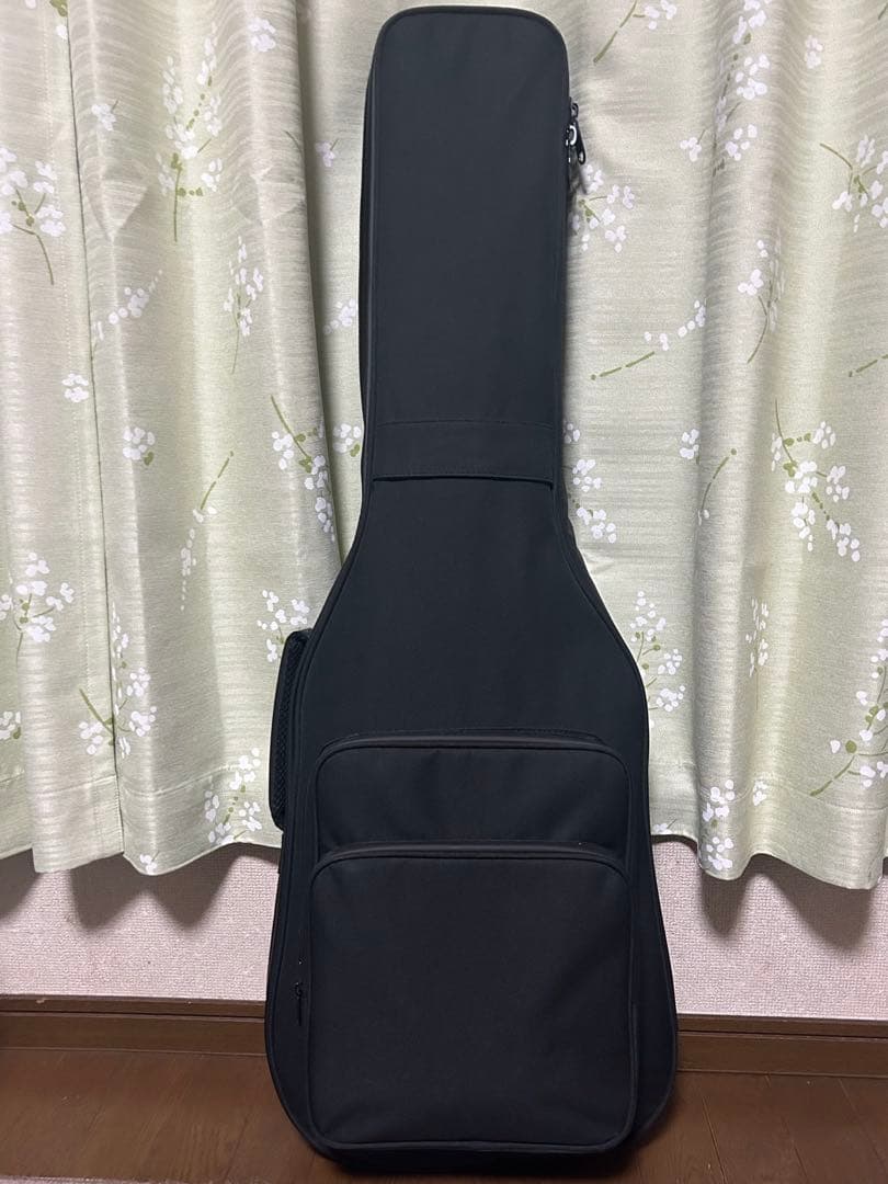 ギター Epiphone Les Paul standard pro