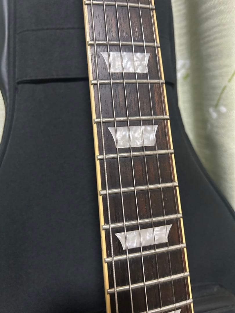 ギター Epiphone Les Paul standard pro