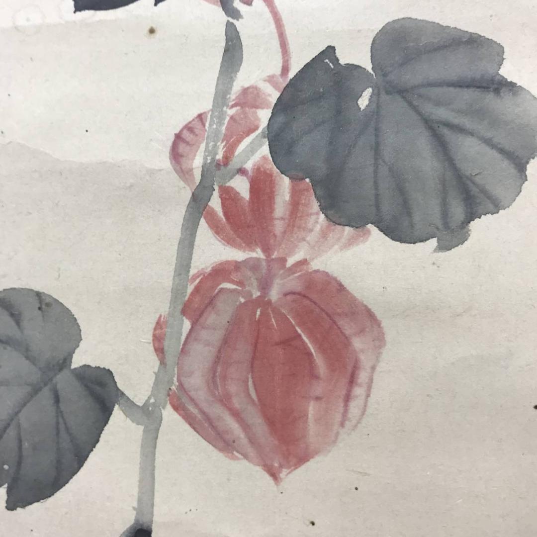 【真作】松村景文/ほおずき図/ホオズキ図/鬼灯図/掛軸/名家伝来/AC-1