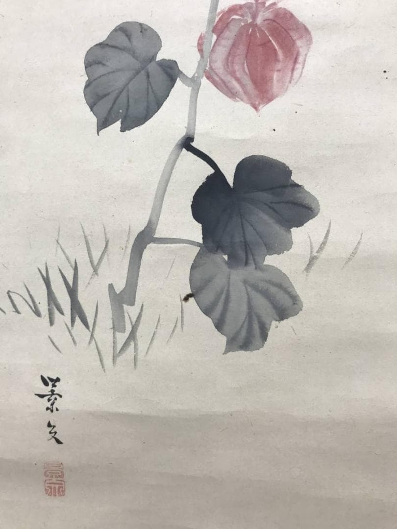 【真作】松村景文/ほおずき図/ホオズキ図/鬼灯図/掛軸/名家伝来/AC-1