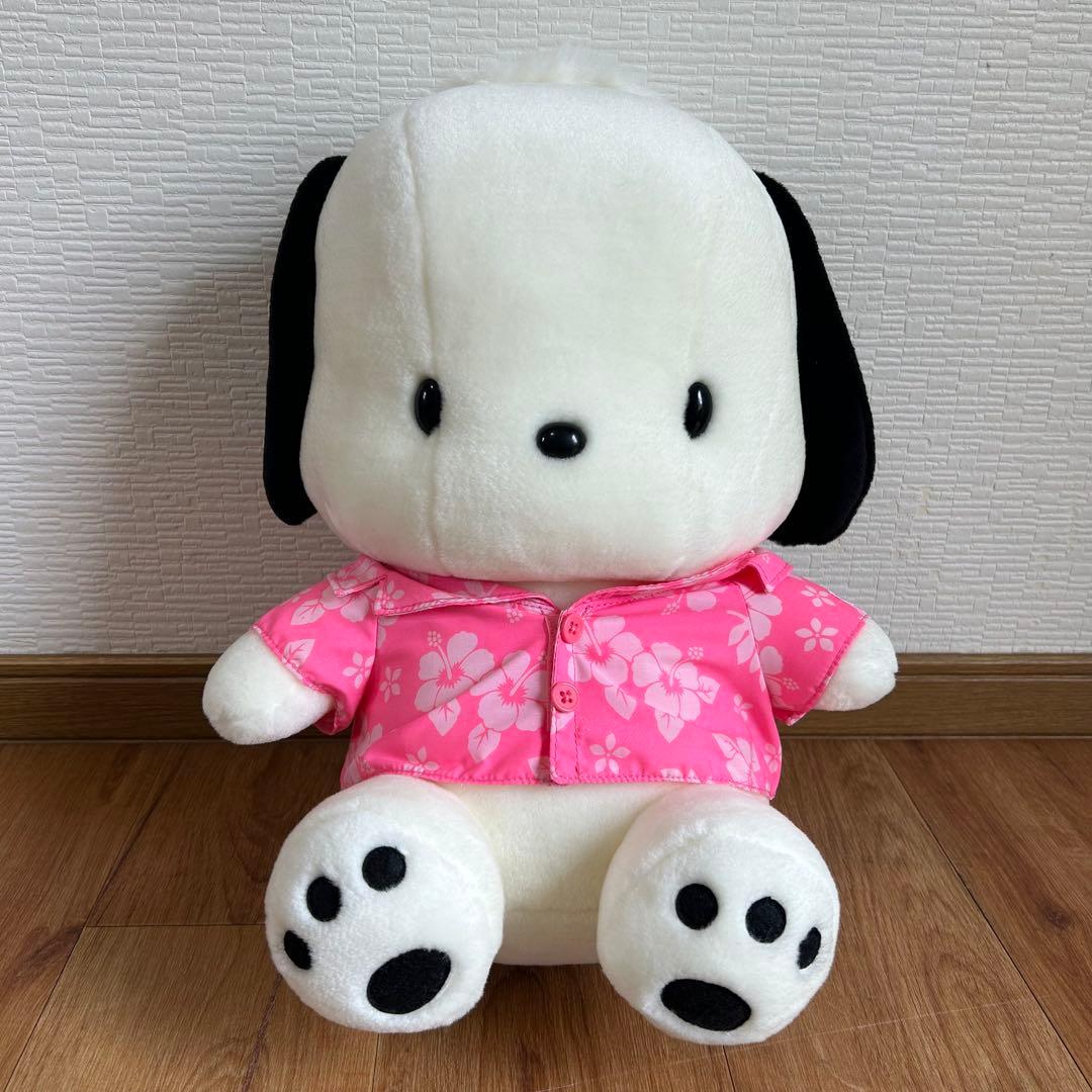 【希少品・激レア】サンリオ×八千代銀行 ポチャッコ特大ぬいぐるみPOCHACCO