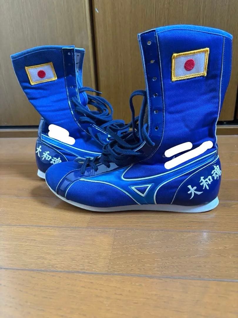 ミズノ ボクシングシューズ 27.0