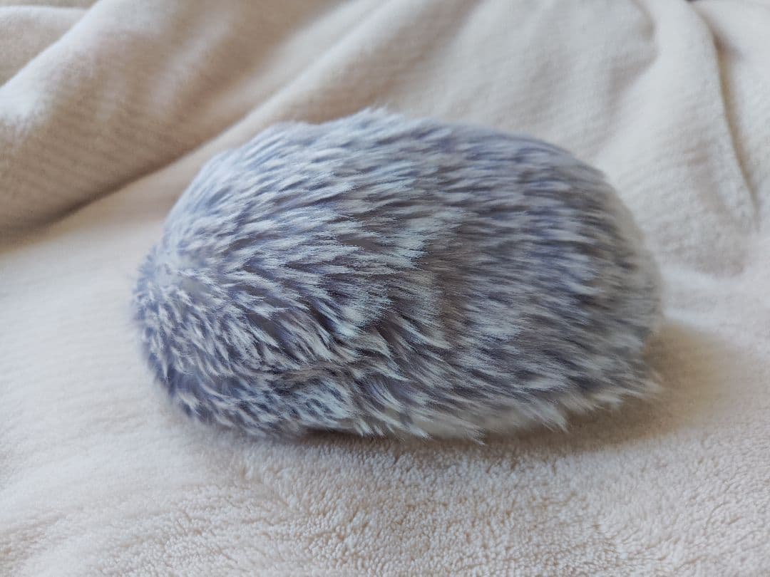 （最安値）モフリン Moflin シルバー