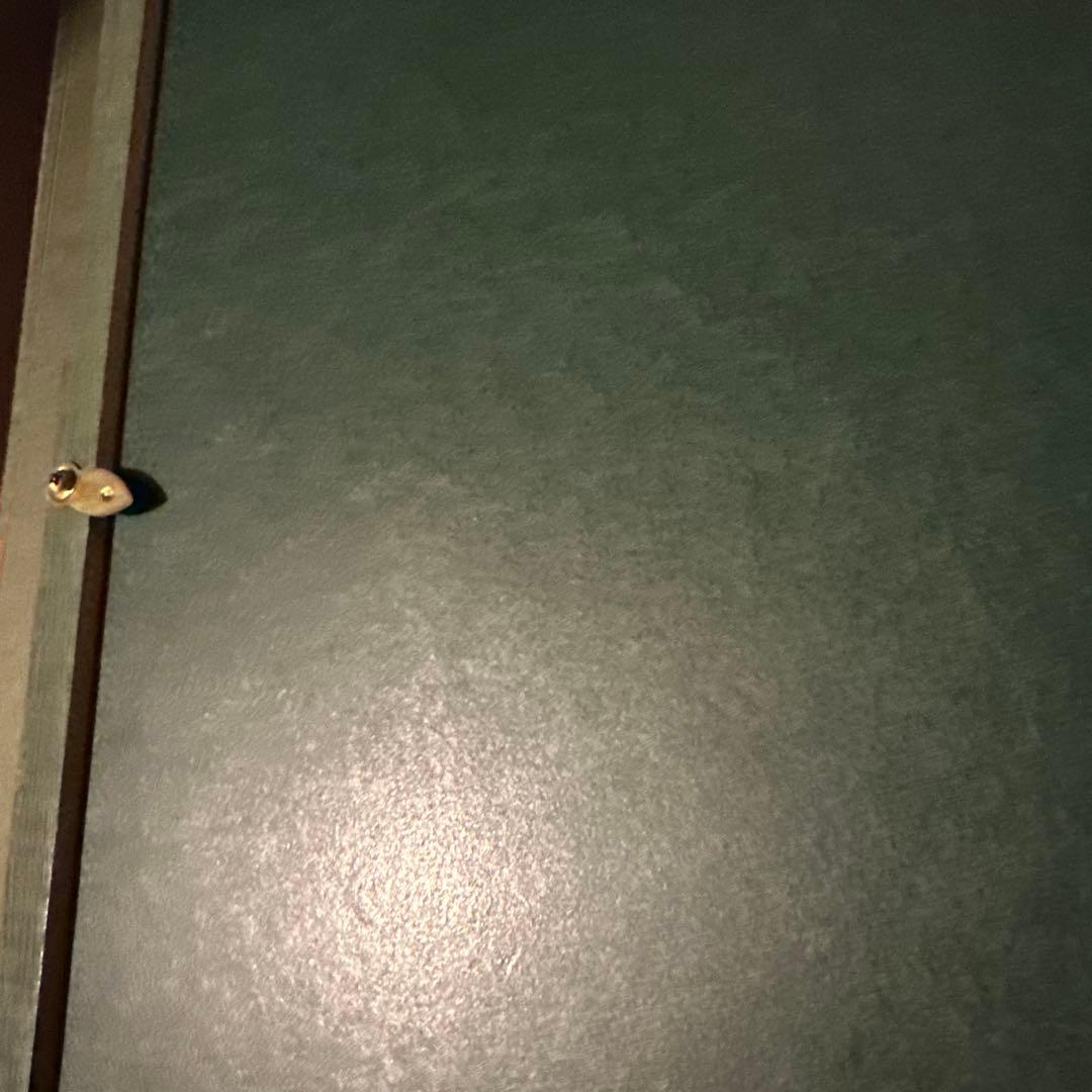 大幅お値下げ❗️みずみずしい　りんごの油絵　洋画　ヴィンテージ　ゴールド額縁