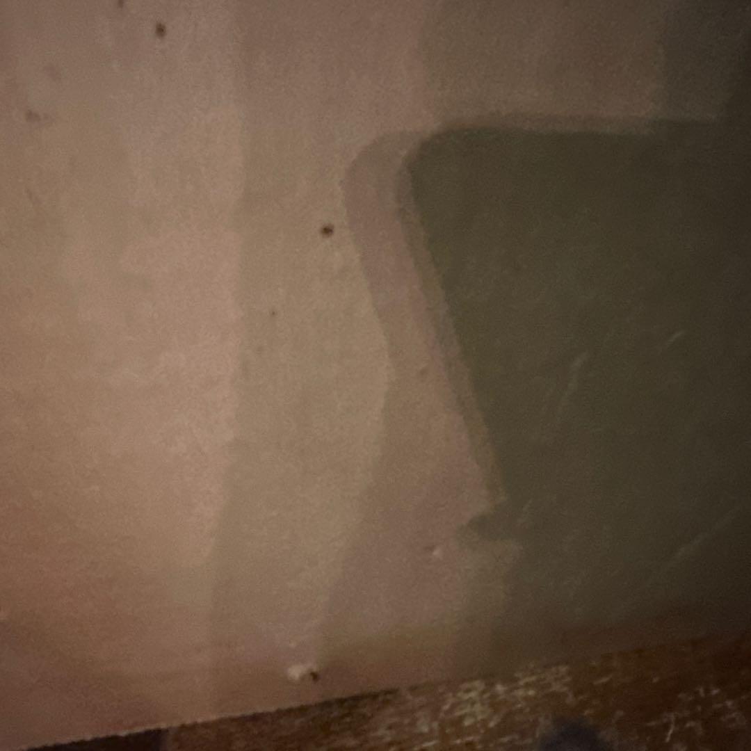 大幅お値下げ❗️みずみずしい　りんごの油絵　洋画　ヴィンテージ　ゴールド額縁