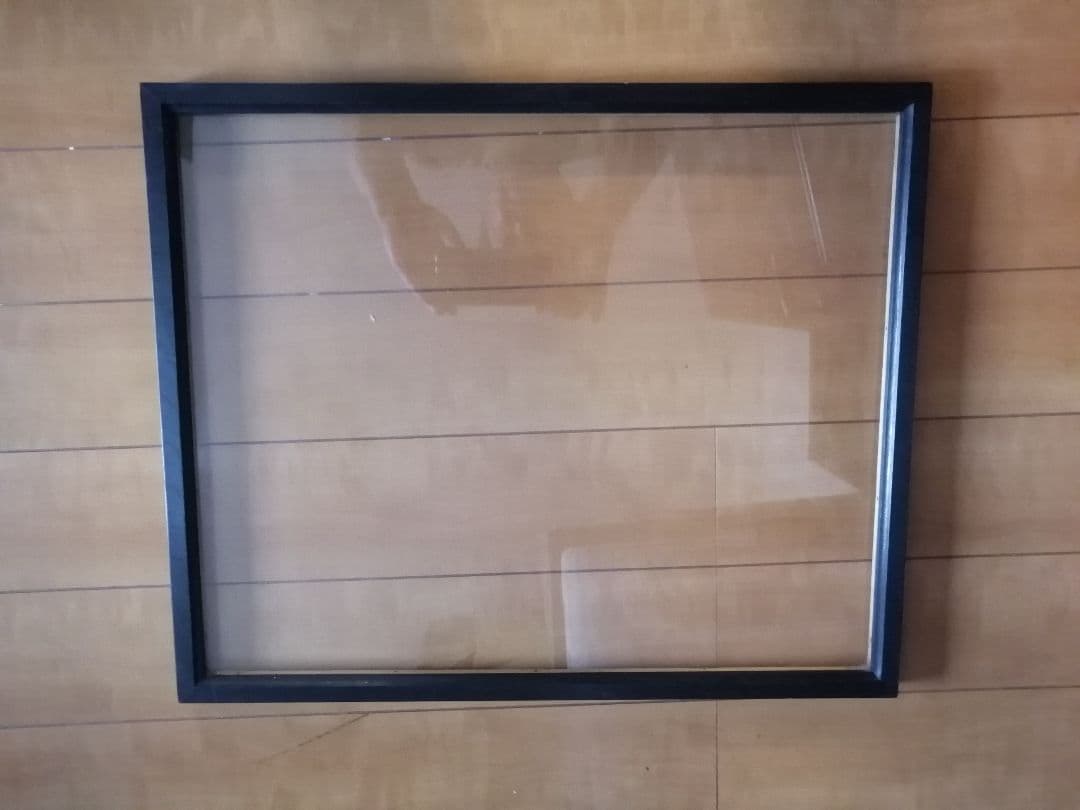 値下げ！ オオイチモンジ 北海道産 雄 × 雌 セット