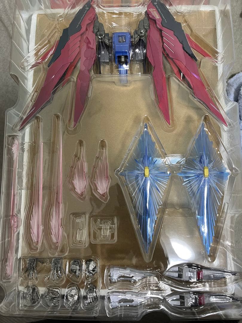 メタルビルド　デスティニー（メタルビルドフェスティバル2024）