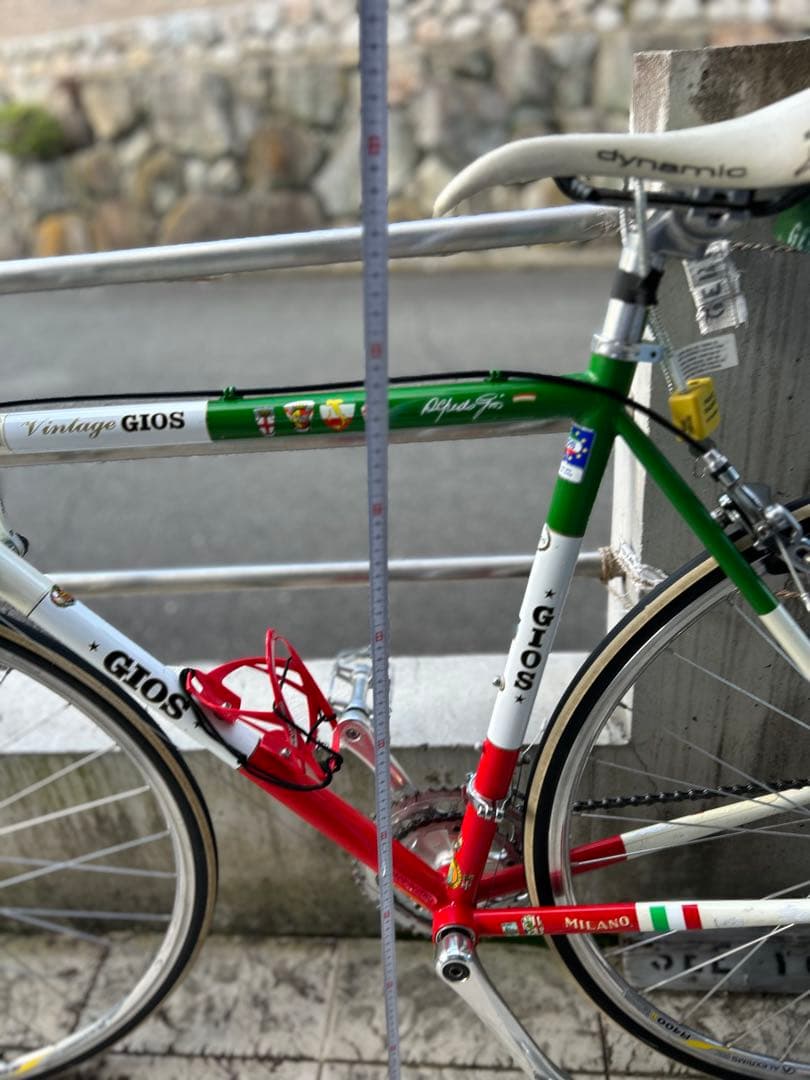 ジオス　イタリアンカラーロードパイク