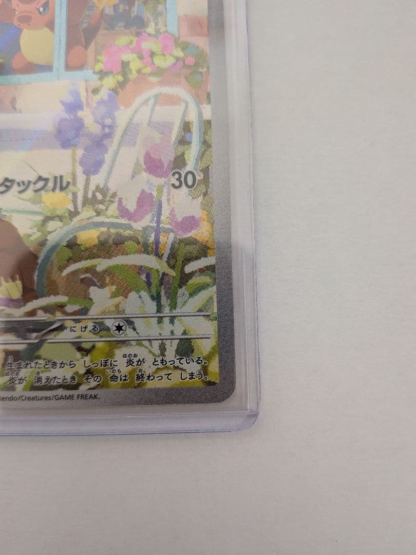 スペシャルデッキセットex ヒトカゲ