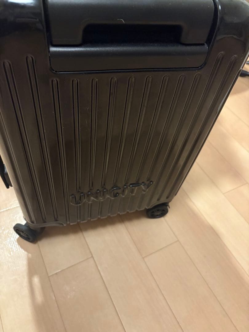 肉*が様 UNISON SQUARE GARDEN キャリーケース