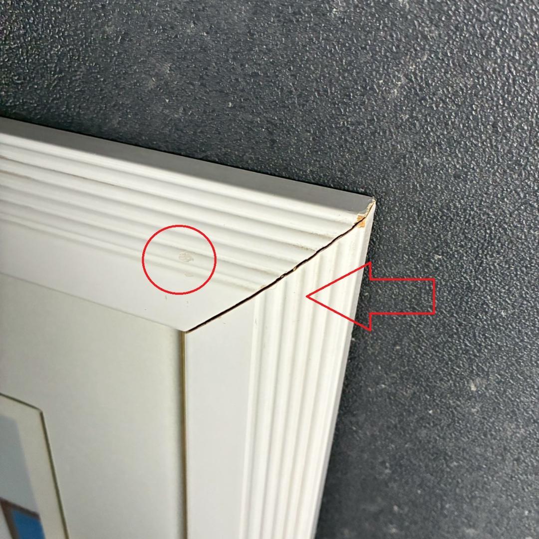 美品 トーマス・マックナイト「マダケット」シルクスクリーン サイン入 画廊シール