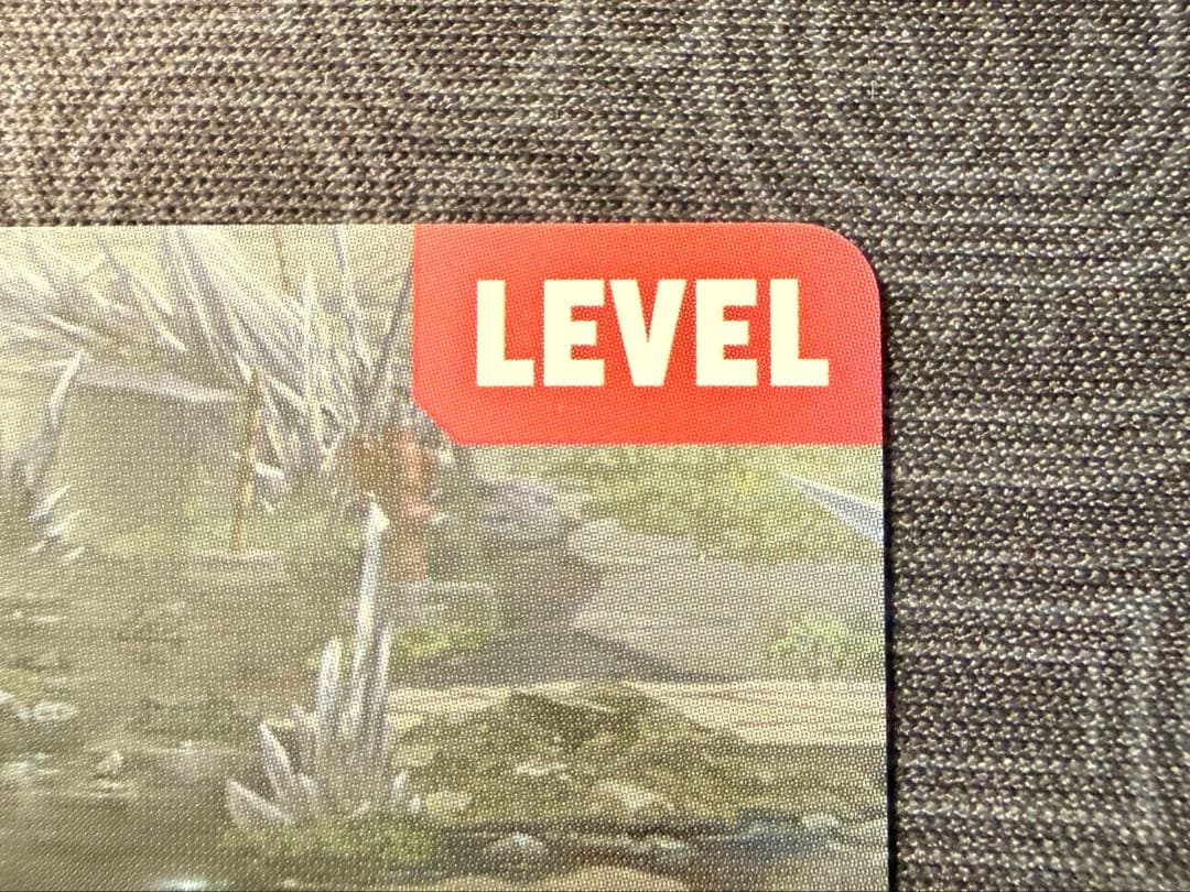 タ*R様 NIVELARENA ニベルアリーナ ラピ:レッドフード SPLサイン