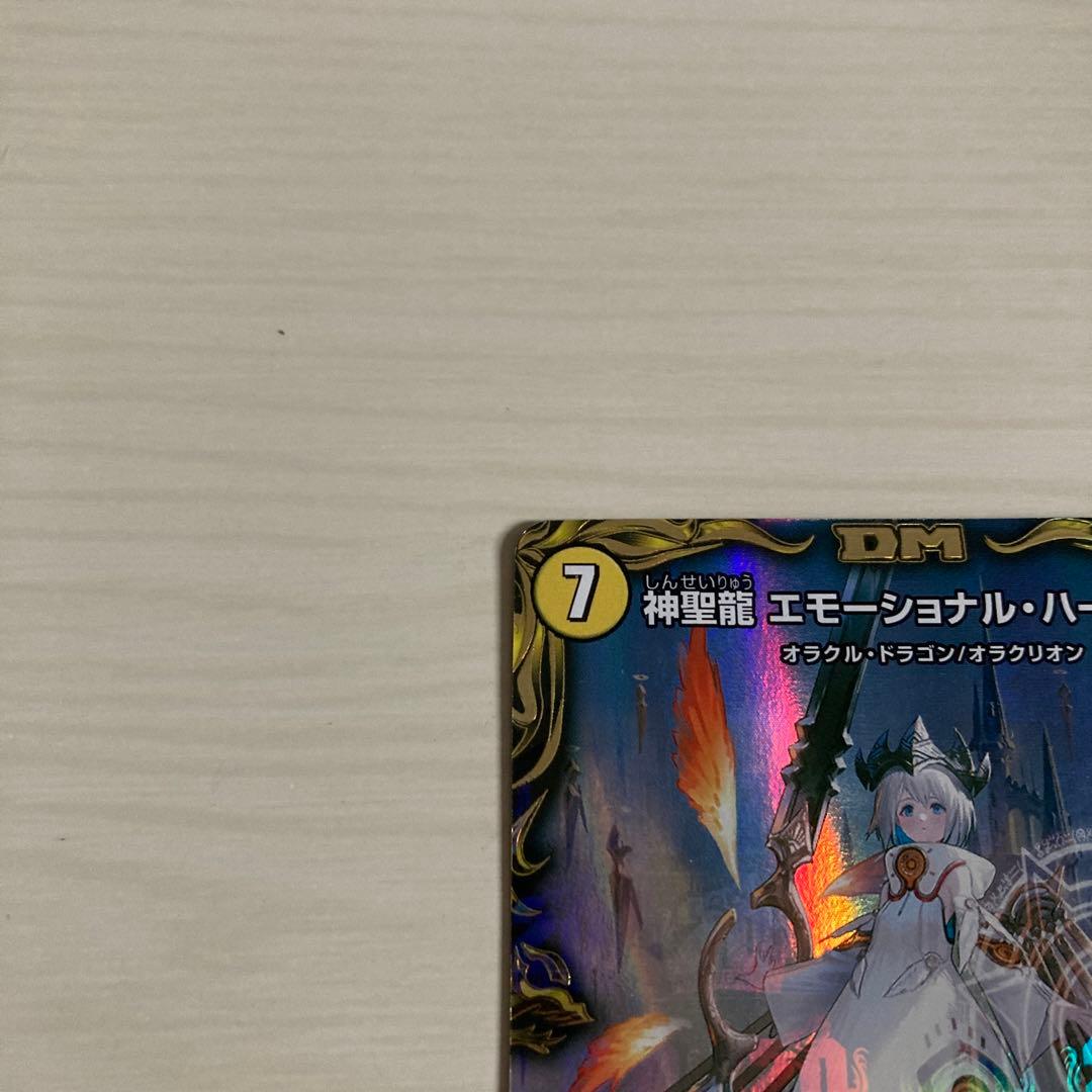 神聖龍 エモーショナル・ハードコア エモーショナルハードコア 金トレジャー