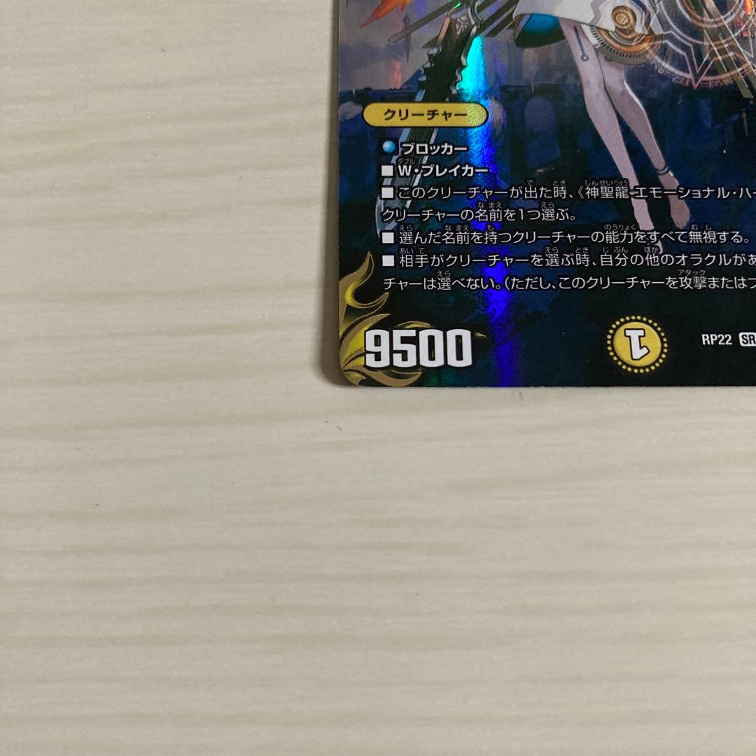 神聖龍 エモーショナル・ハードコア エモーショナルハードコア 金トレジャー