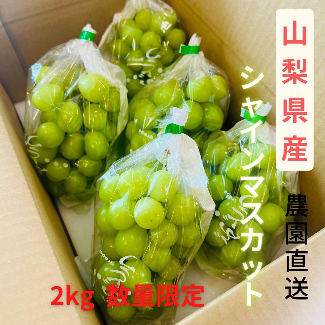 【最終限定価格シャインマスカット4キロ】山梨県産 化粧箱・送料込