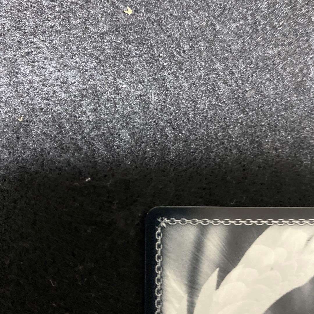 ヴァイスシュヴァルツ　星街すいせい　Summer Splash Party