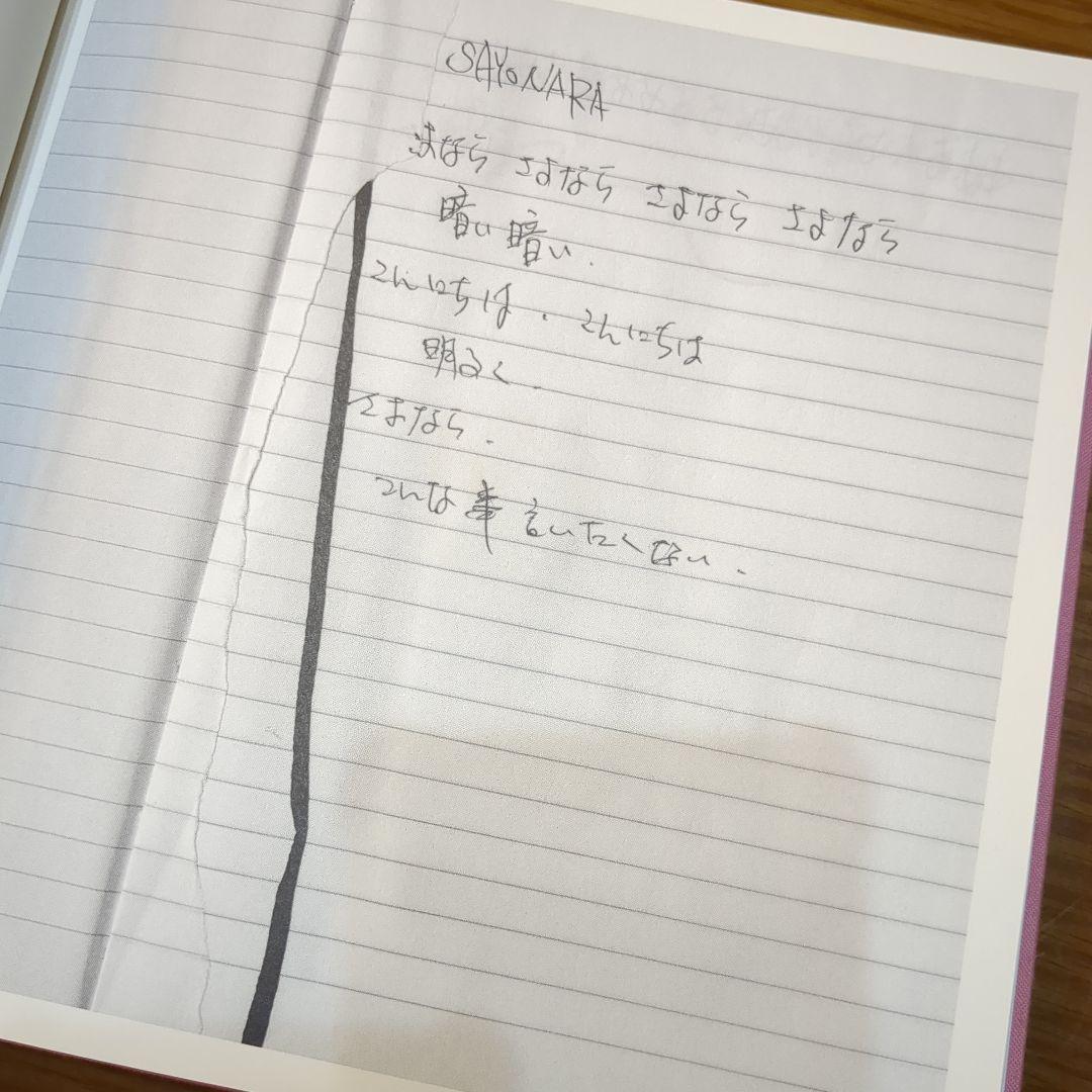 【絶版レア品】櫻井敦司 夜想 DVD有り、チラシ付