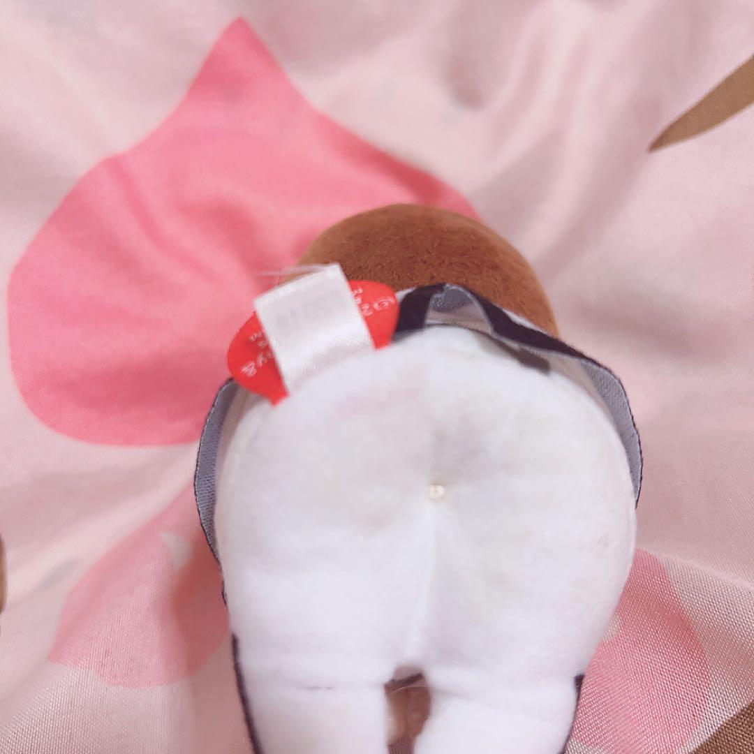 キンプリ King & Prince 永瀬廉 ちょっこりさん