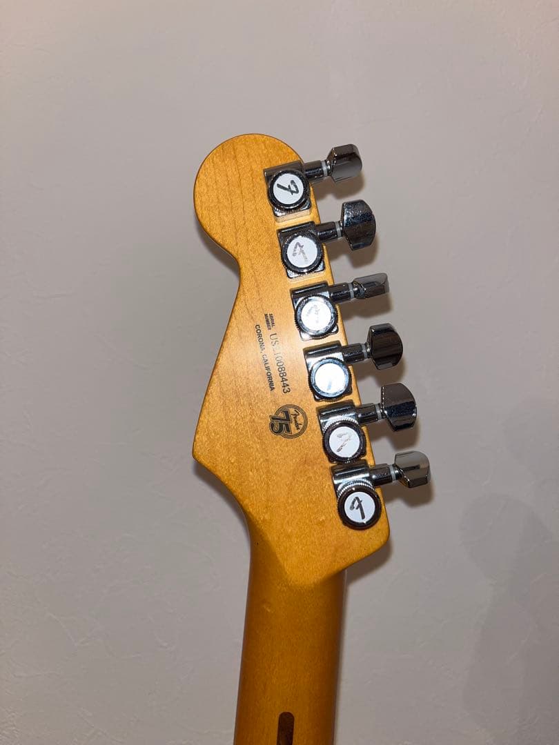 ギター Fender /USA American Ultra Stratocaster