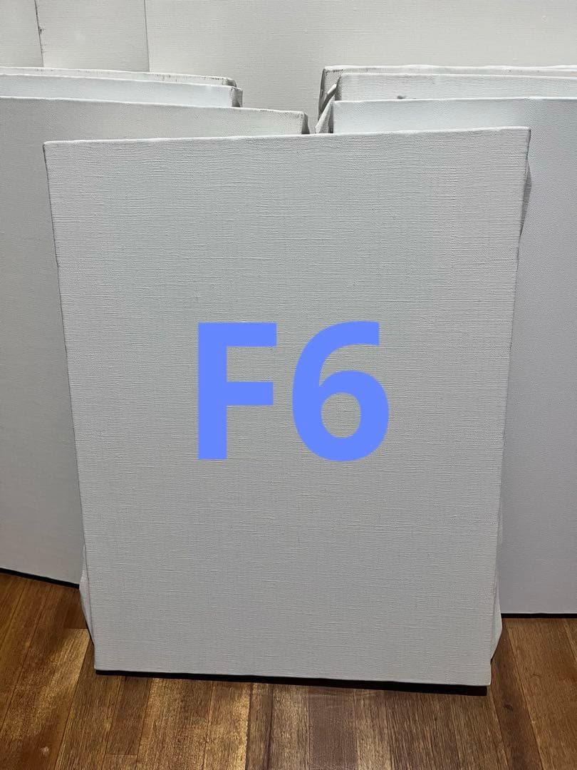 F6八枚F8一枚F10四枚　油絵用ホワイトキャンバス計13枚　麻100%