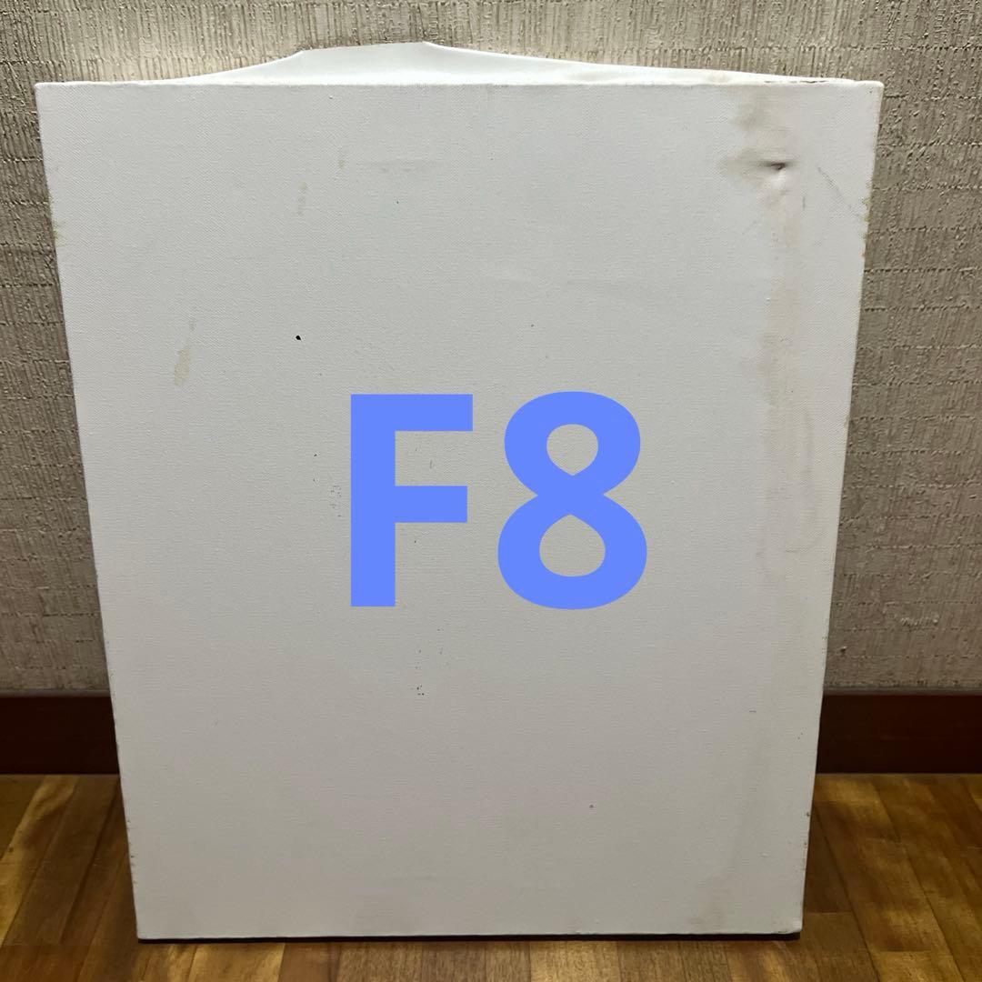 F6八枚F8一枚F10四枚　油絵用ホワイトキャンバス計13枚　麻100%