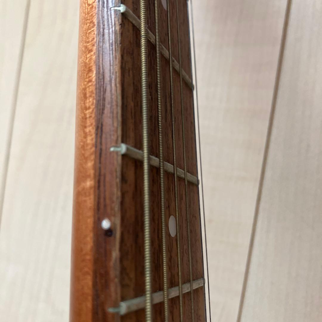 Art & Lutherie アコースティックギター