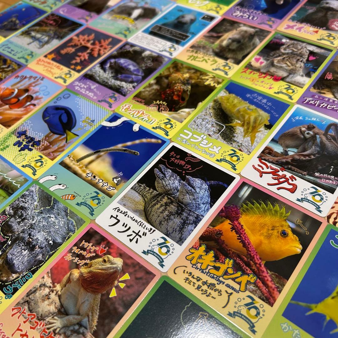 鳥羽水族館　コレカ　ノーマルカード コンプリート　70周年記念