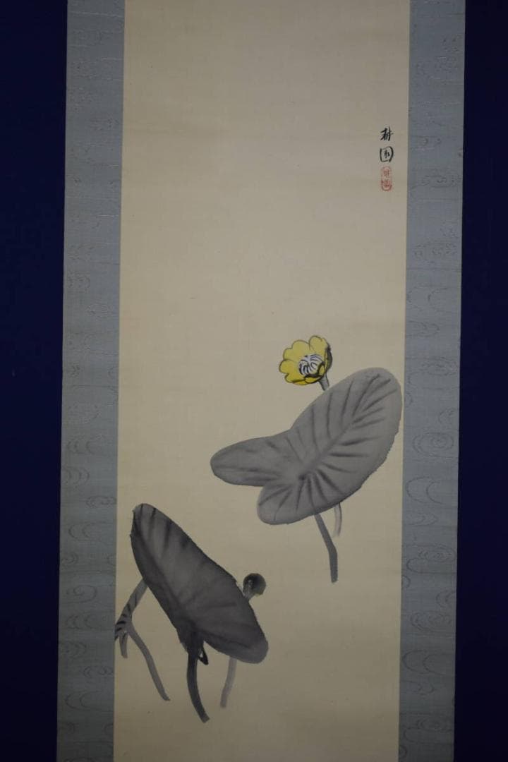 真作/庭山耕園/河骨図/コウホネ図/桐題箱付/布袋屋掛軸HI-266