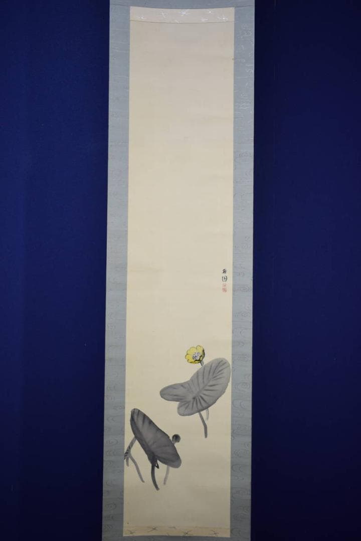 真作/庭山耕園/河骨図/コウホネ図/桐題箱付/布袋屋掛軸HI-266