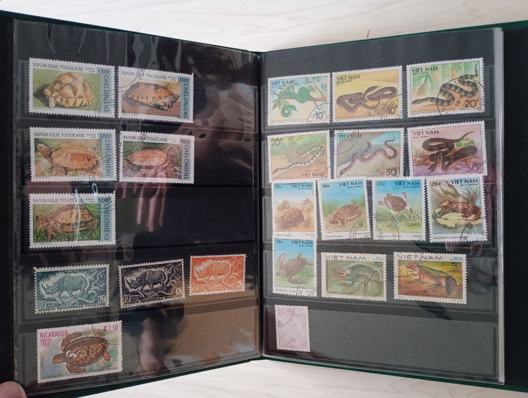 希少31まで限定出品！手彫竜銭ヘビ爬虫類トカゲ　テージー切手アルバムまとめ売り