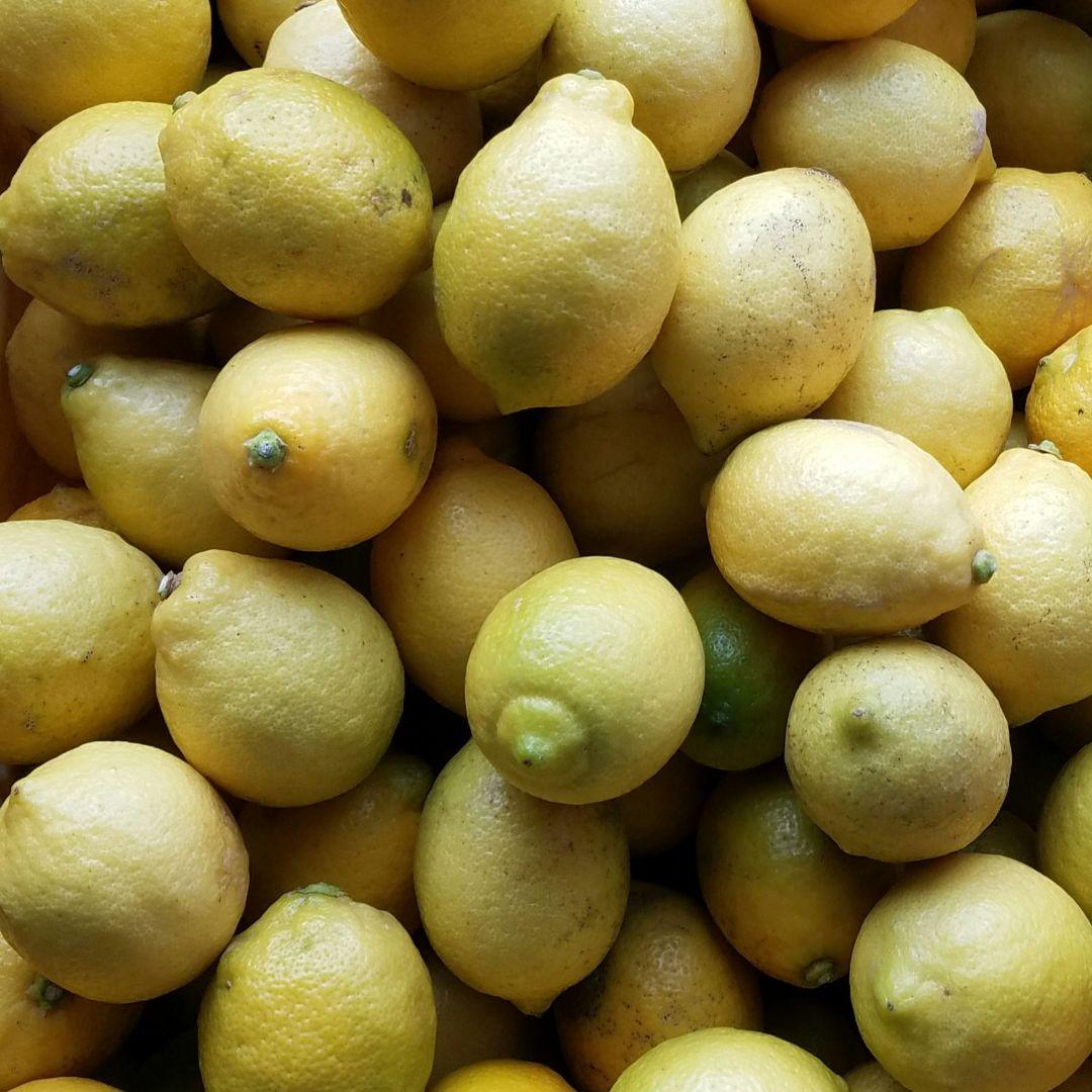 モモさん専用！！☆はるみみかん&レモン☆　15キロ(箱込み)　広島県産　家庭用