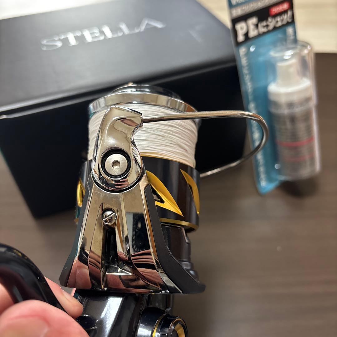 シマノ　19ステラ　SW8000HG