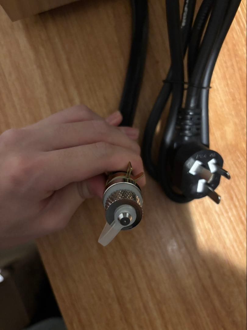 Sarinny 業務用電気式ゆで麺器 2穴