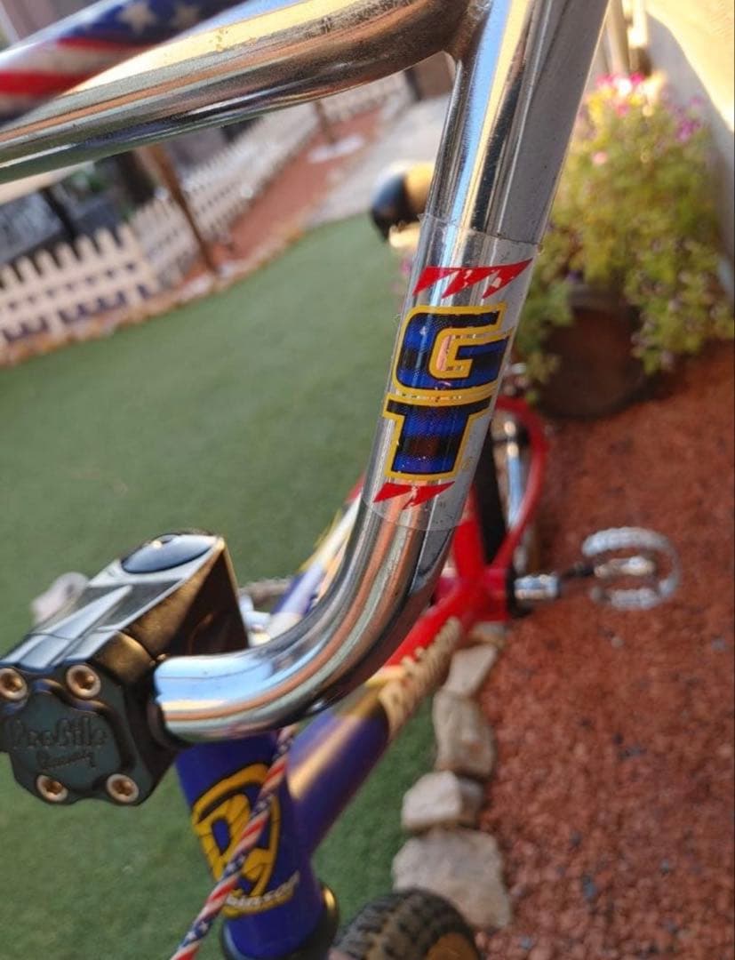 ⭕️★ Robinson Racing SST BMX 20\" (希少)