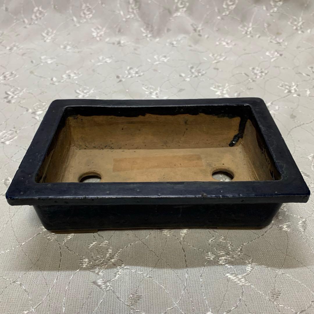 東福寺　長方　盆栽鉢