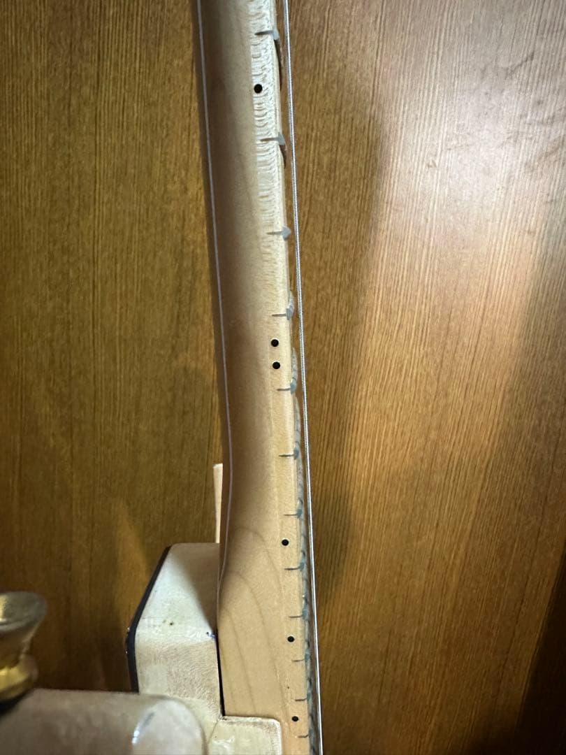 (GOTOHペグ) コンポーネントギター