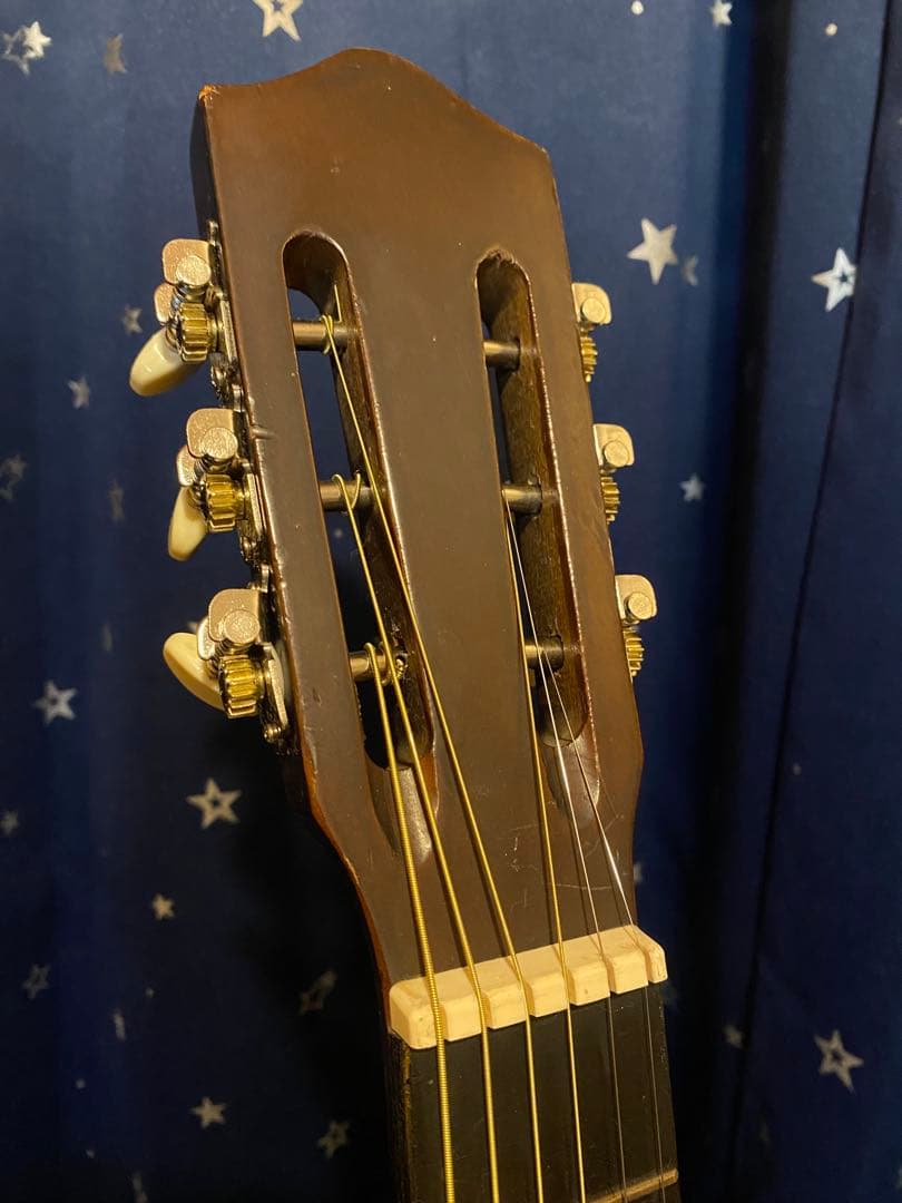 Daiwa Guitar No.300 (エレアコ) 鉄線ギター