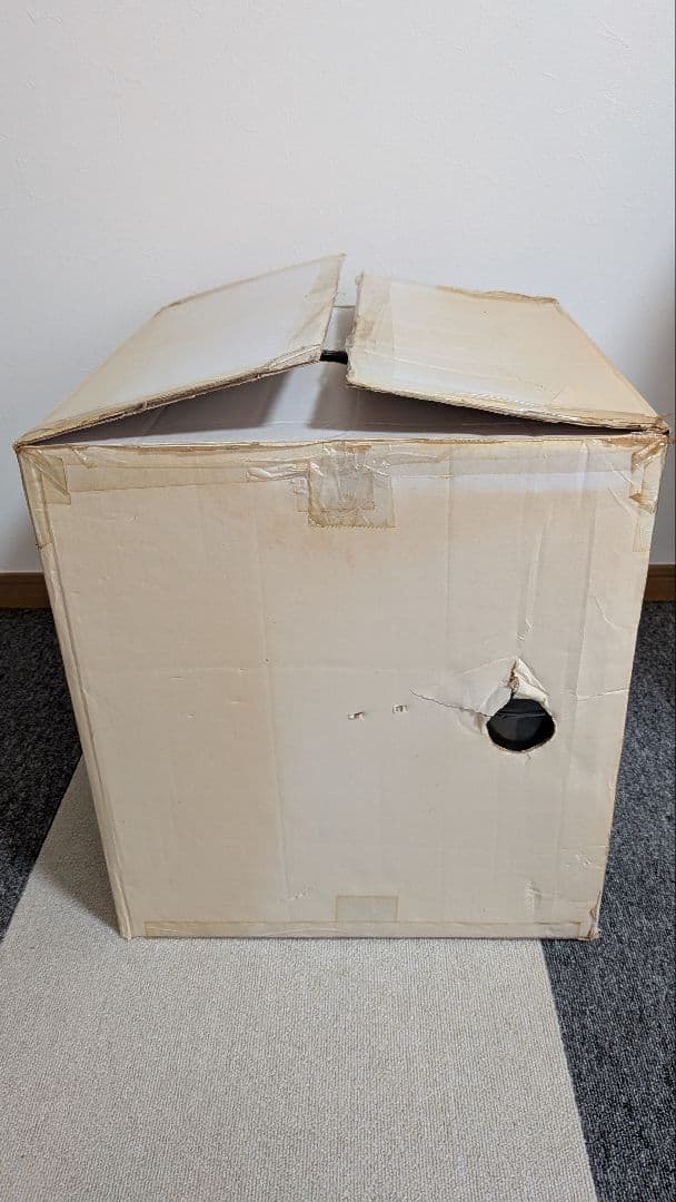 ‼️最終値下げ‼️箱付き ドラゴンボール 100体限定 トイフェス 最長老