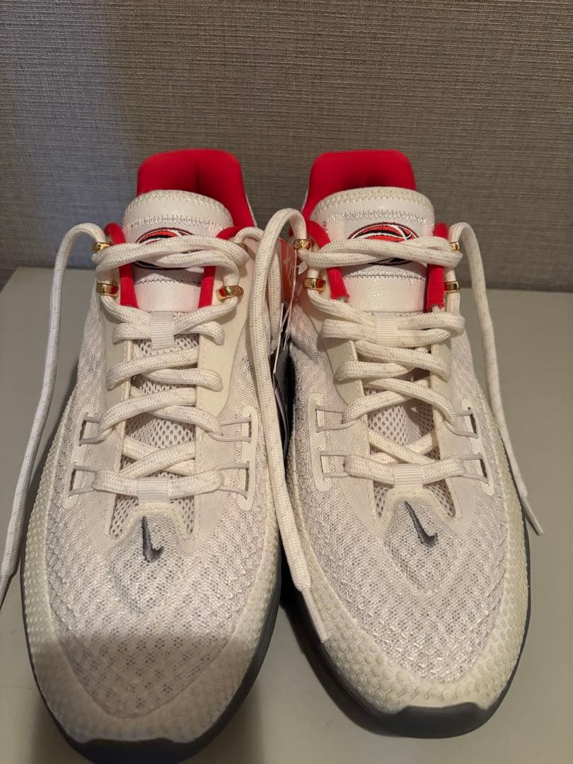 ナイキ S.T. フレア EP バスケットボールシューズ