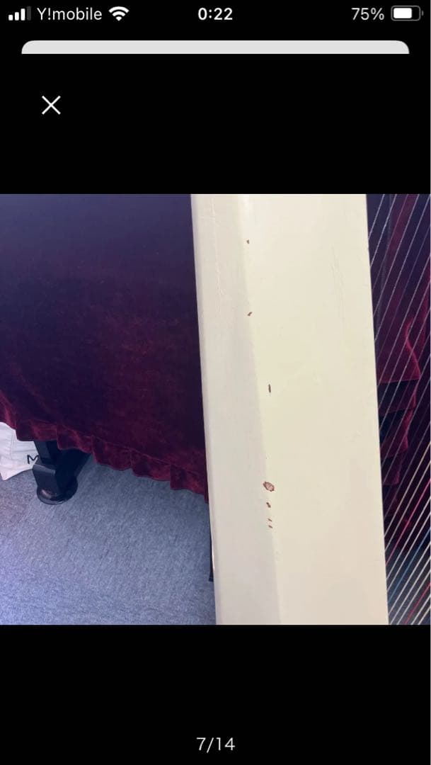 クリーム色ハープ、ソフトケース付き