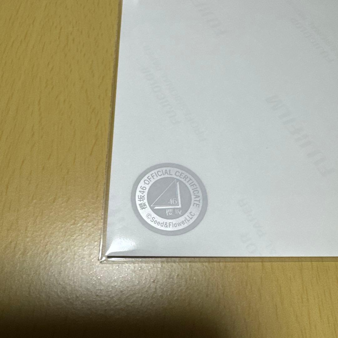 み*い様 櫻坂46 的野美青 【 2025年 サンタ衣装（直筆サイン入り）】 ア