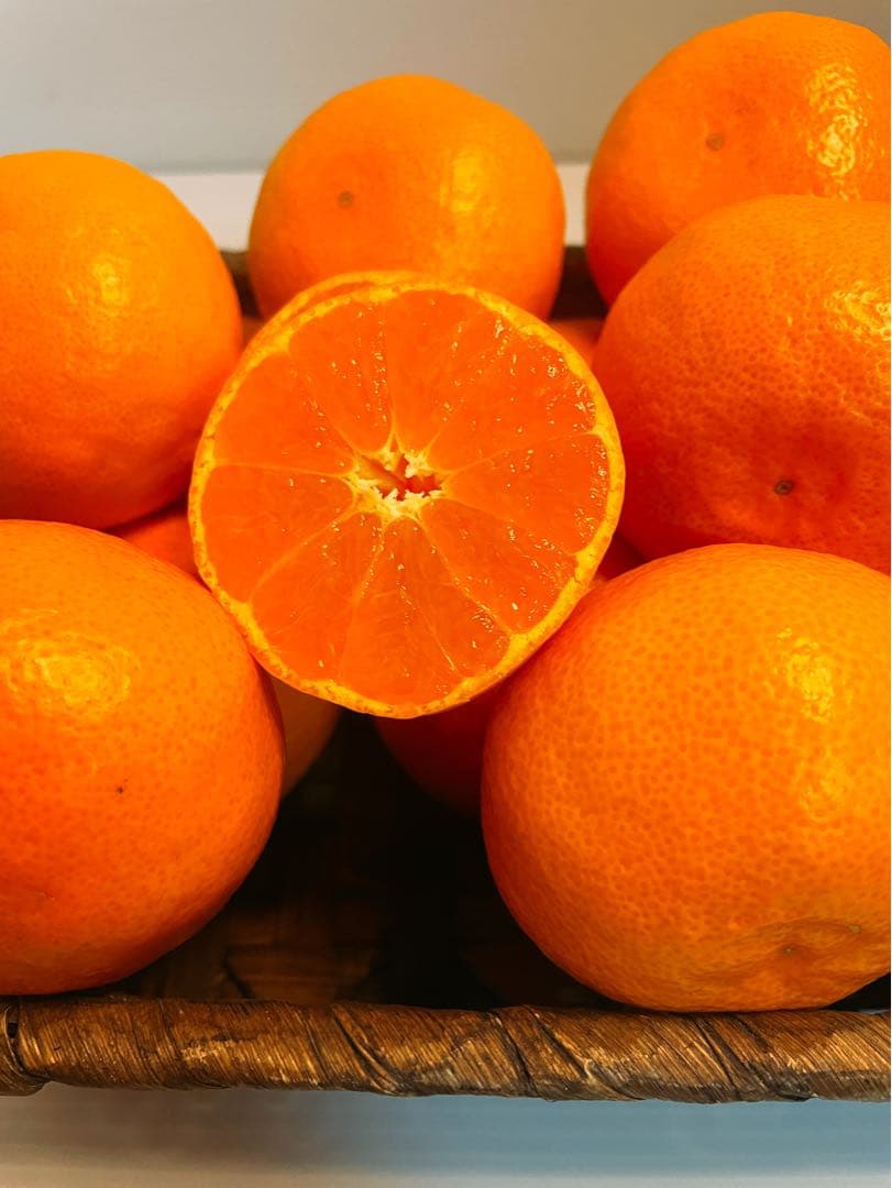 専用出品　ねこ✧プロフ必読様　2箱