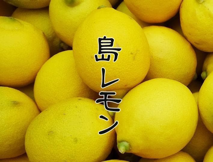 【とおる】ブス２０号9Kgレモン4Kg+小玉石地9Kg　２個口送り