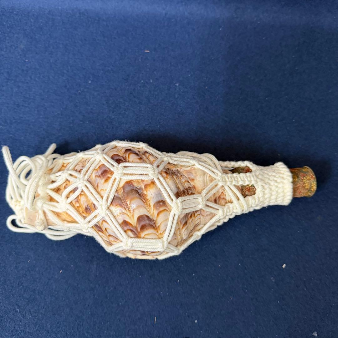 ②中 ホラ貝 法螺貝 螺貝 ラッパ 雅楽 和楽器 古玩 旧家 蔵出 骨董品