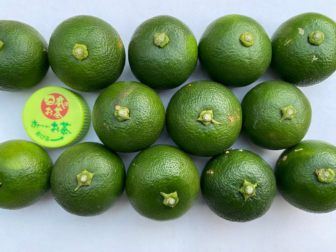 徳島県神山町産　《冷蔵貯蔵すだち》 綺麗なLサイズ　5キロ　　①