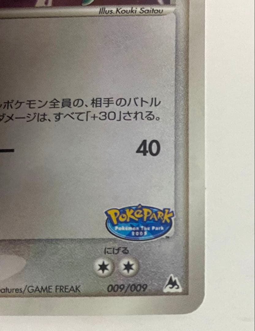 ポケモンカード レックウザ ポケパーク プレミアムファイル 009/009