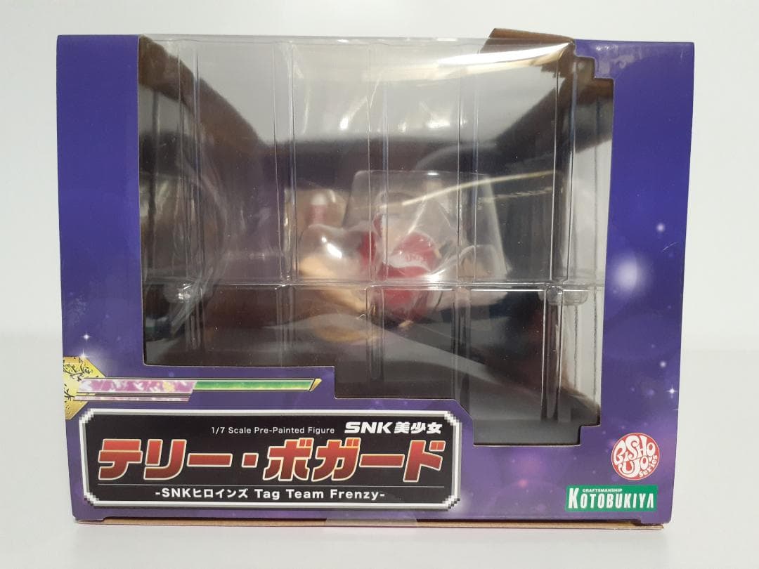 SNK美少女 テリーボガード -SNKヒロインズ Tag Team Frenzy